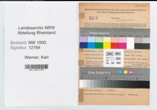 Entnazifizierung Karl Werner, geb. 06.01.1893 (Bankangest.)