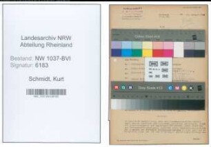 Entnazifizierung Kurt Schmidt , geb. 18.05.1904 (Dentist)