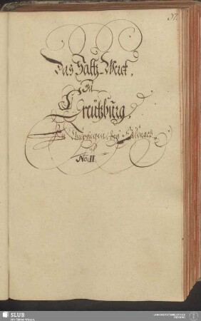 Das Saltz-Werck, zu Creutzburg, In Thüringen, bey Eisenach