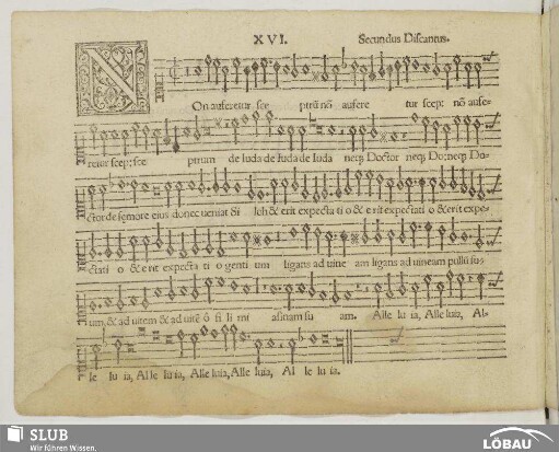 XVI. Non auferetur sceptrum
