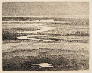 Sylt - Watt