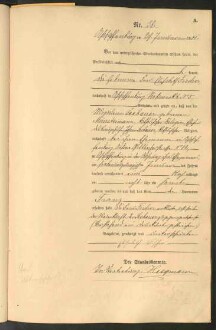 Standesamtsbuch der Stadt Aschaffenburg: Geburten 365/1900 - 184/1901