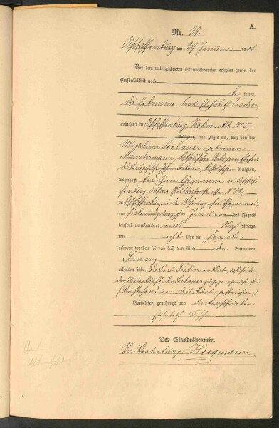 Standesamtsbuch der Stadt Aschaffenburg: Geburten 365/1900 - 184/1901