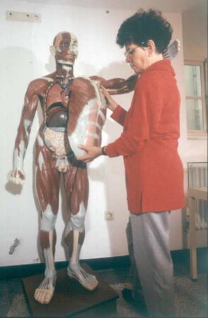 Oldenburg. Deutsches Krankenhausmuseum. Der "Muskelmann", anatomisches Modell zum Auseinandernehmen