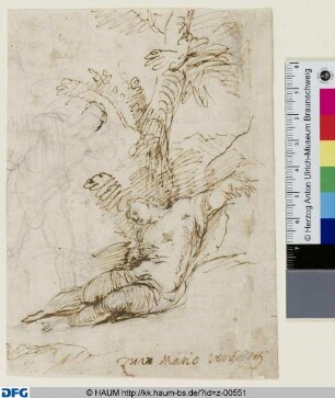 Cephalus und Procris
