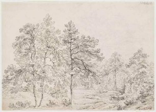 Waldlandschaft