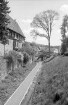 Michelstadt: Frühlingsbaum am Stadtgraben