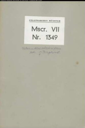 Abschriften zur Geschichte des Stifts Borghorst
