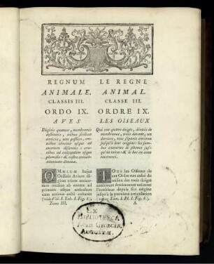 Regnum Animale.