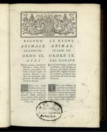 Regnum Animale.