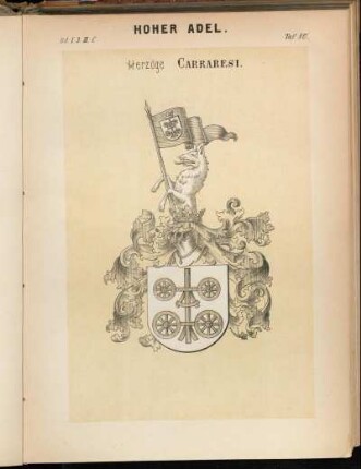 Taf. 80. Herzöge Carraresi.