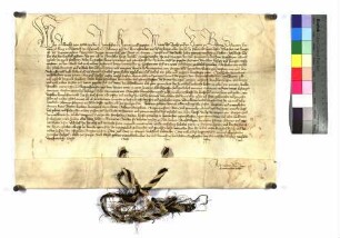 König Friedrich IV. bestätigt die Freiheiten der Reichsstadt Giengen.