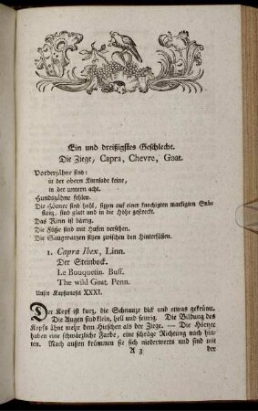 Ein und dreißigstes Geschlecht. Die Ziege, Capra, Chevre, Goat.