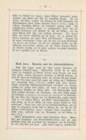 V. Nach Java. Batavia und die Kolonialsoldaten