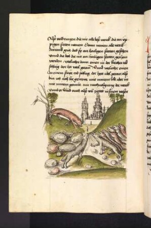 Der vernünftige Fuchs und die anderen seiner Art; (Kapitel XII: Von dem Löwen und dem Fuchs)
