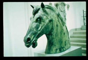 Quadriga-Kopf 10.3.77.