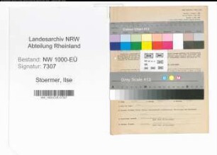 Entnazifizierung Ilse Stoermer, geb. 13.01.1909 (Studienraetin)
