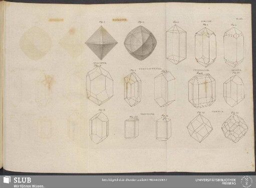 Plate I. Diamond