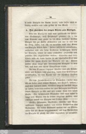 4. Das Zurichten der jungen Bäume zum Versetzen.