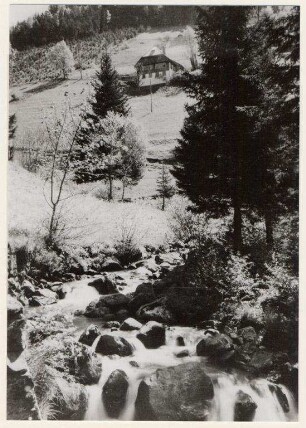 Luisenheim - Evakuierung der Schwestern. Gütenbach