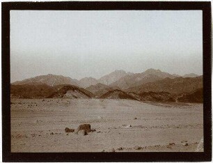 gebel [dschebel, djebel] umm [?] somar [schomar] von der Wüste el-ka'a [Gebel-umm-somar, el kaa]