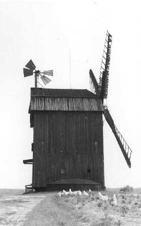 Michendorf-Langerwisch. Paltrockmühle (1839 als Bockmühle erbaut, 1930 umgesetzt und Umbau)