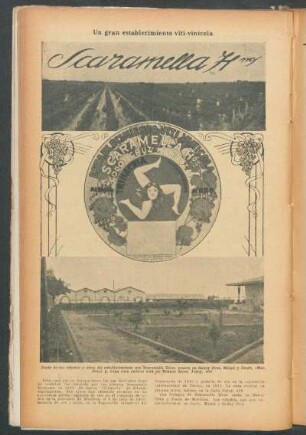 Scaramella Hnos. : Un gran establecimiento viti-vinícola