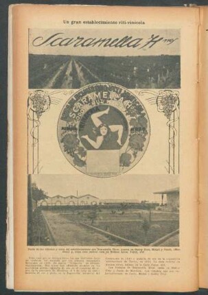 Scaramella Hnos. : Un gran establecimiento viti-vinícola