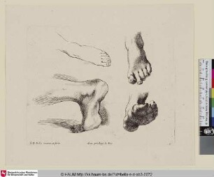 [Vier Fußstudien; Quatre pieds gauches ...; Four studies of left feet]