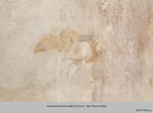 Ausgestaltung der Galleria dipinta a verzura : Fliegender Putto
