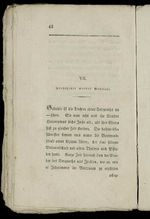 VII. Abentheuer meiner Gabriele.