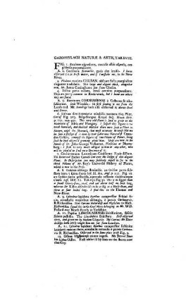 Gazohpylacii Naturae & Artis Tab. XVIII