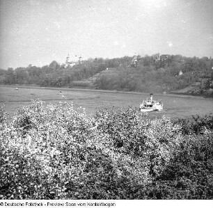 Elbe im Raum Dresden; Elbe Baumblüte Loschwitz