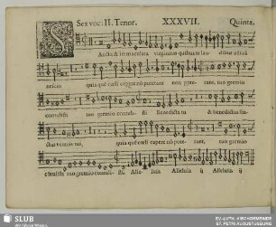 XXXVII. Sancta et immaculata