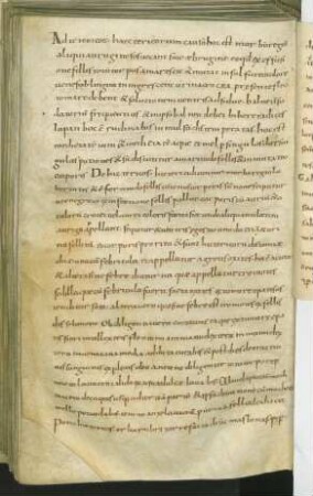 Nachträge, u.a. curationes et glossae