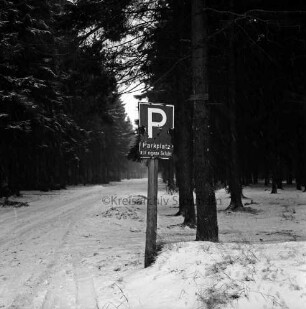 Polizei: Mord an der Hamburger Küchenhilfe Edeltraut Harloff am 26. November 1965: Oher Tannen: Leichenfundort: Waldwege mit Reifenspuren: in der Mitte Parkplatzschild: hinten Tannen: Winter