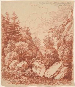Landschaft im Uttewalder Grund nördlich von Wehlen in der Sächsischen Schweiz