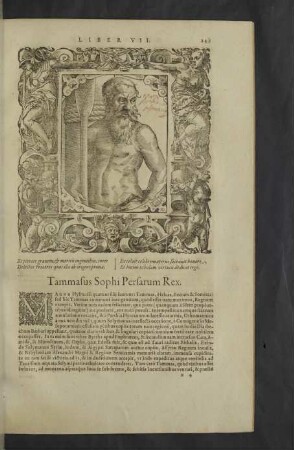 Andreas Auria Classis Praefectus.