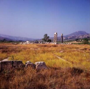 Tempel von Neméa