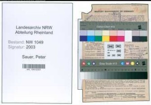 Entnazifizierung Peter Sauer , geb. 03.11.1892 (Spediteur)
