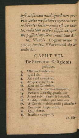 Caput VII. De Exercitio Religionis publico.
