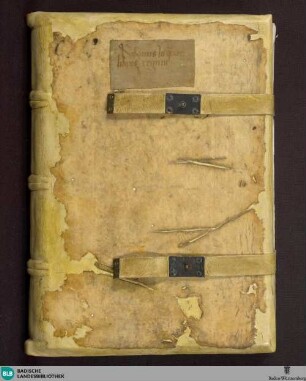 Hrabani Mauri commentar in libros regum I-IV - Cod. Aug. perg. 121