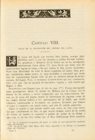Capítulo VIII