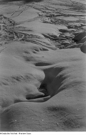 Schneelandschaft