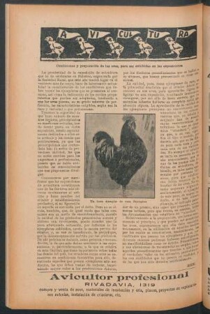 Avicultura : Condiciones y preparación de las aves, para ser exhibidas en las exposiciones