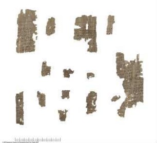 Demotisch-griechischer Papyrus, Tempelakte