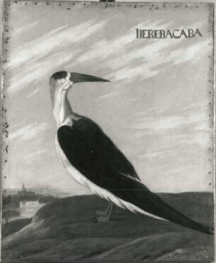 JIEREBACABA : JIEREBACABA. Öl auf Leinwand (1655/1663; A. Eckhout). Radebeul, Hoflößnitz, Berg- und Lusthaus, Festsaal (nach der Restaurierung)
