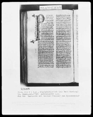 Ambrosius, Commentarii in epistulas Pauli und anderes — Initiale P (aulus), Folio 46 verso