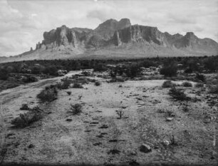 Arizona : Landschaft mit Strauch- und Kakteen-Vegetation in Arizona
