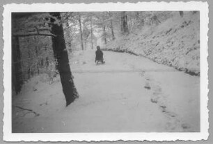 Meißen. Ramon-Joachim Gerhardt beim Rodeln im Stadtpark